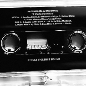 MAKING STANG - Slowed