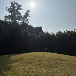 测试1