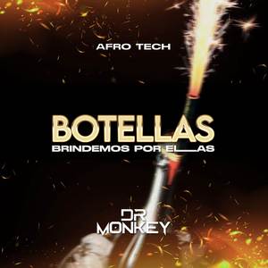 Botellas (Brindemos por ellas)