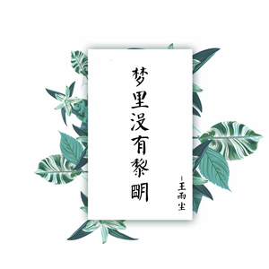 梦里没有黎明