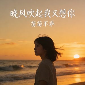 晚风吹起我又想你