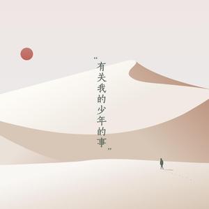 有关的我少年的事