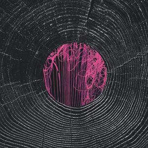 Francisco Silva: intra