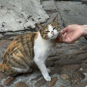 晴朗
