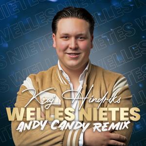 Welles Nietes (Andy Candy Remix)