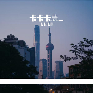 午夜的静谧回响