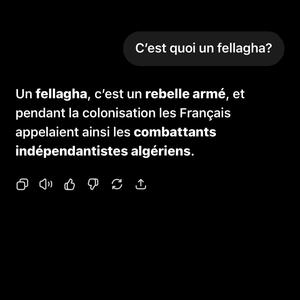 FELLAGHA