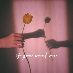 If You Want Me（翻自 Glen Hansard）