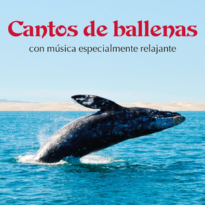 Hacer Experiencias en los Mundos de las Ballenas, Pt. 2