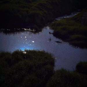 漫步在孤单星球