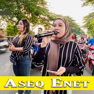 Aseq Enet