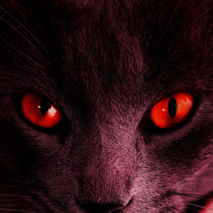 ফাতেমা নামের বিচার