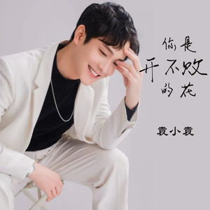 你是开不败的花