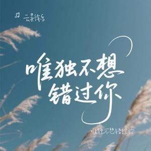 唯独不想错过你