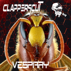 Vespiary (Original Mix)