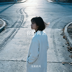 你的离去