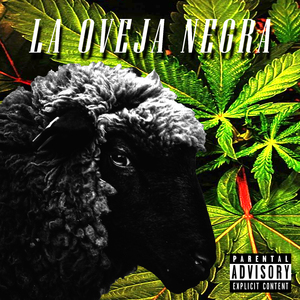 Oveja Negra (En Vivo)