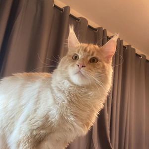 想把你留在这里