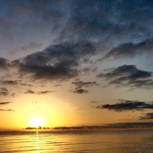 从身份散发出熟悉的味道