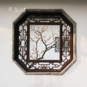 梅映轩窗