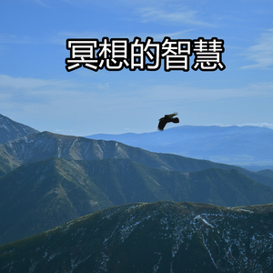 冥想的智慧