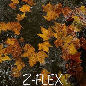 【Free】RNB Beat_落叶