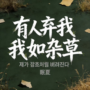 有人弃我如杂草（韩文Kpop版）