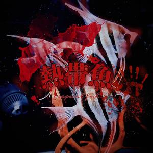 热带鱼（Prod.Youngbing x Flexondatrack/Swifteyy）