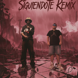Siguiéndote (Remix)