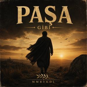 Paşa Gibi