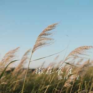 撒在食盆