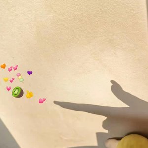 斑斓的玻璃片和栈道下微醺的莲