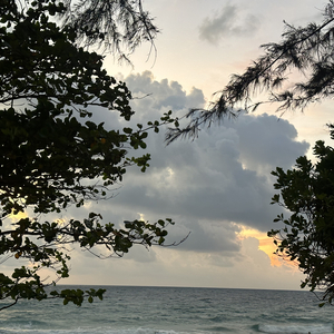 Jxbb-静默（Jxbb remix）