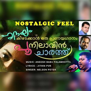 Poonilavincharath (Malayalam Album Song)