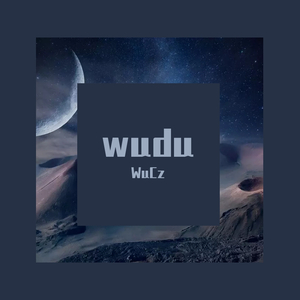 Wudu