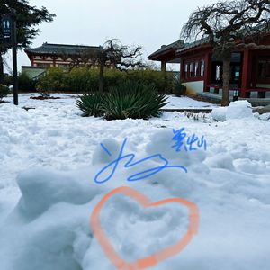 冬天是一种告白