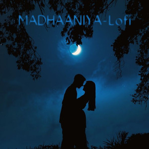Madhaniyaan (Lofi)
