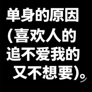 单身的原因 (风无念 Remix)