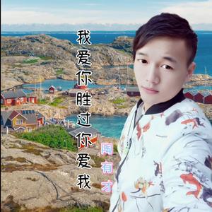 为爱伤了你的心(DJ山歌)