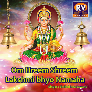 Om Hreem Shreem Lakshmi bhyo Namaha