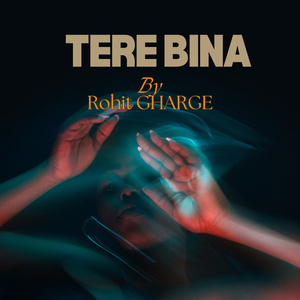 Tere Bina