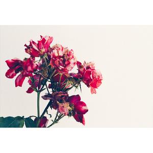 그립다고 말하면