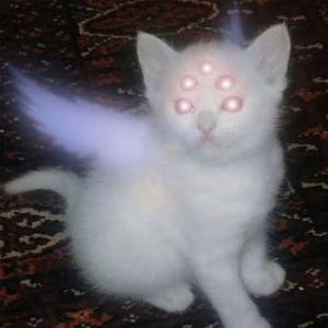 take me back to hell