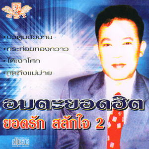 คิดถึงแม่หม้าย