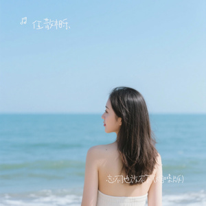 忘不了也放不下 (烟嗓版)