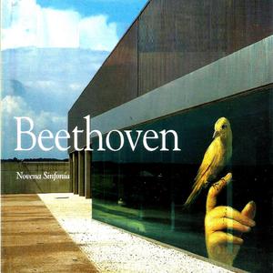 Symphony No. 9 in D Minor, Op. 125: VI.  Andante maestoso