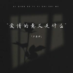 爱情的意义是什么 (我一直看着海发呆)