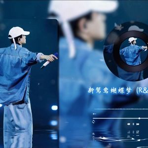 AI张杰 - 新鸳鸯蝴蝶梦