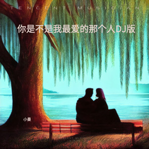 你是不是我爱的那那个人 (DJ版)