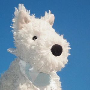 [Free]"小狗"-Acoustic Guitar Type Beat